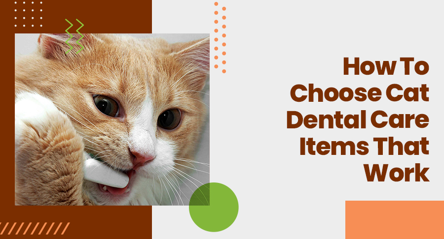 dental treats cats